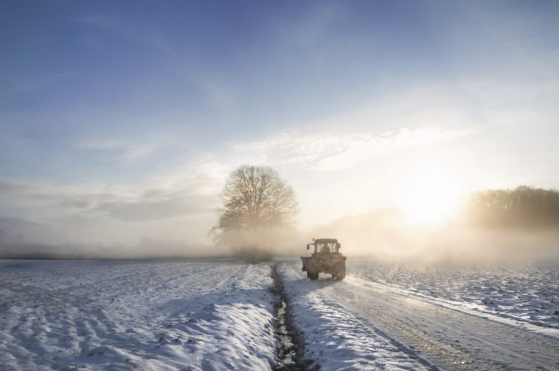 Tractor silhouette on a snowy road, crossing an agricultural field covered in snow, through the mist, at sunrise.